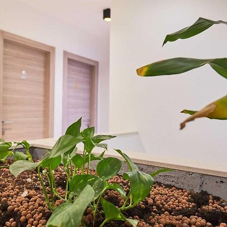 Boutique Garden Rooms Ντουμπρόβνικ Εξωτερικό φωτογραφία